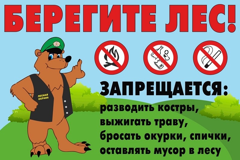 Берегите лес копия