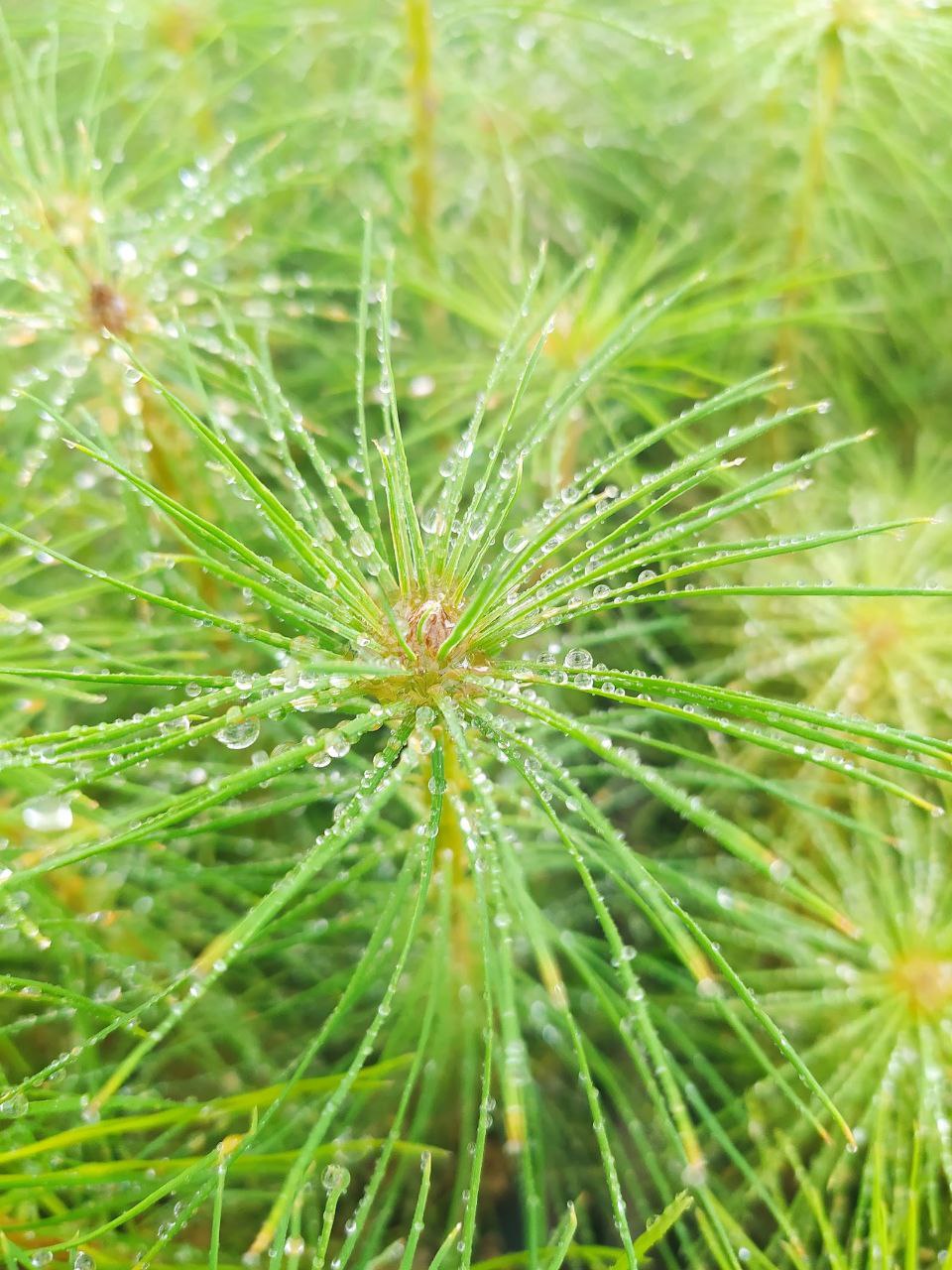 photo 2025 10 07 10 41 04