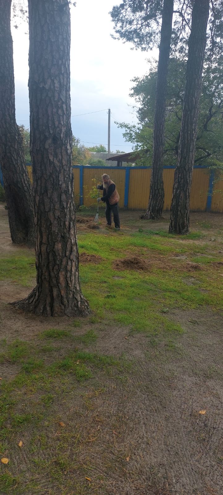 изображение viber 2026 10 12 13 00 07 582