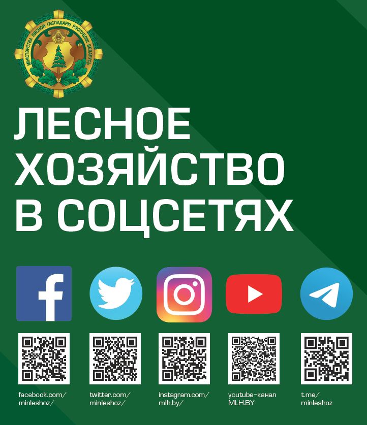 Лесное хозяйство в соцсетях