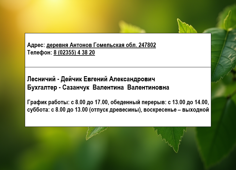 вербовичи