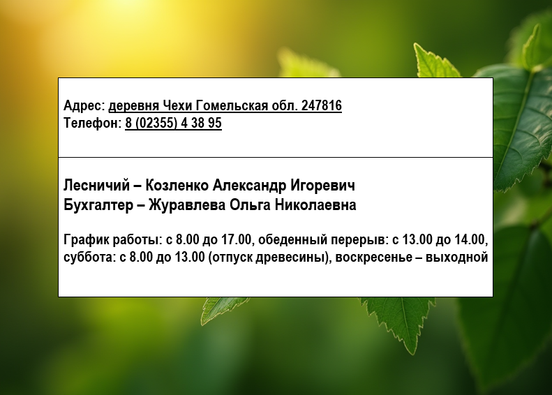 головчицы