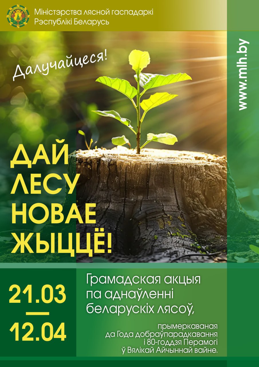 photo 2025 03 11 08 57 38