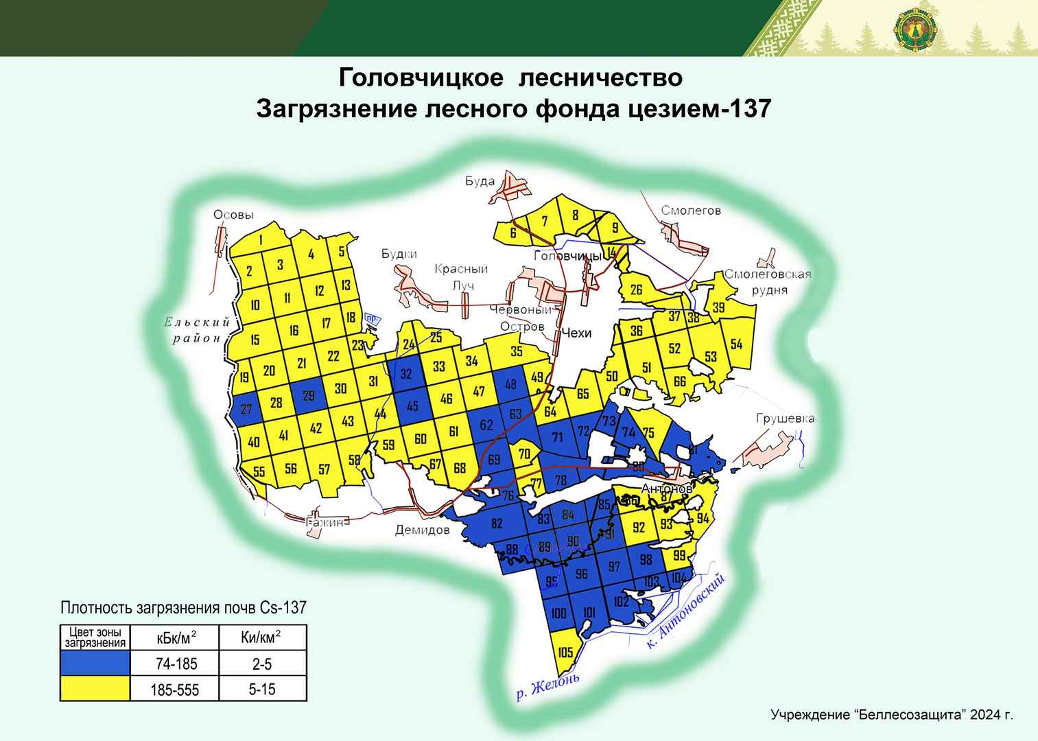 Головчицкое лесничество 2024