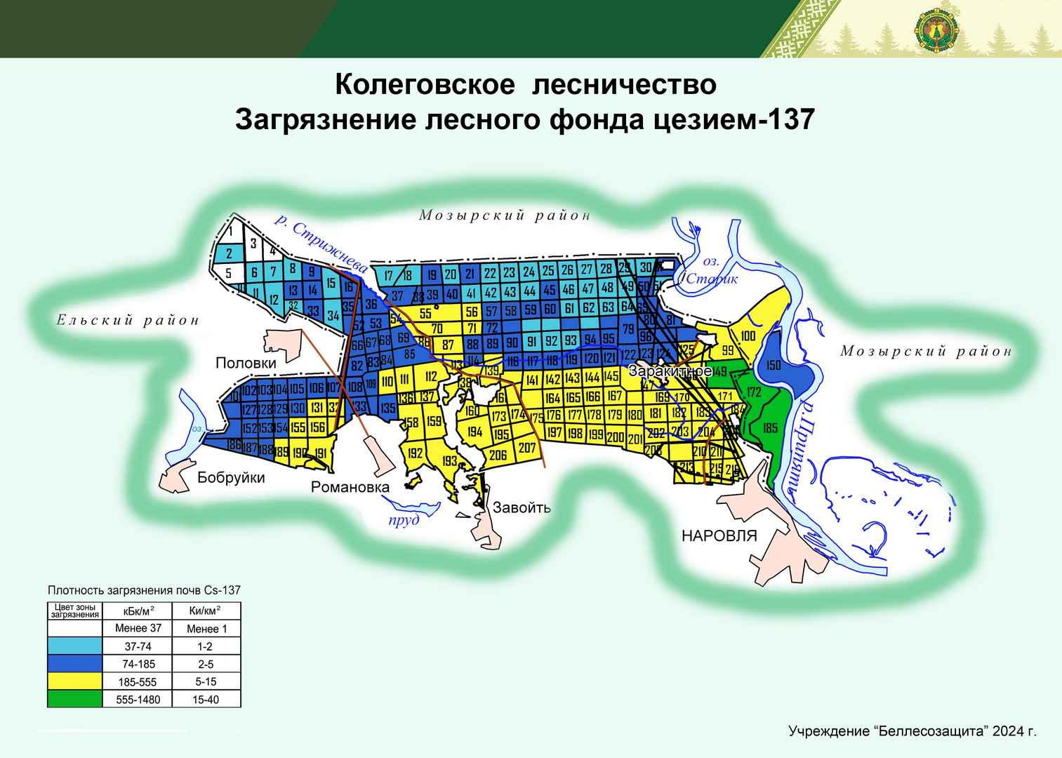 Колеговское лесничество 2024