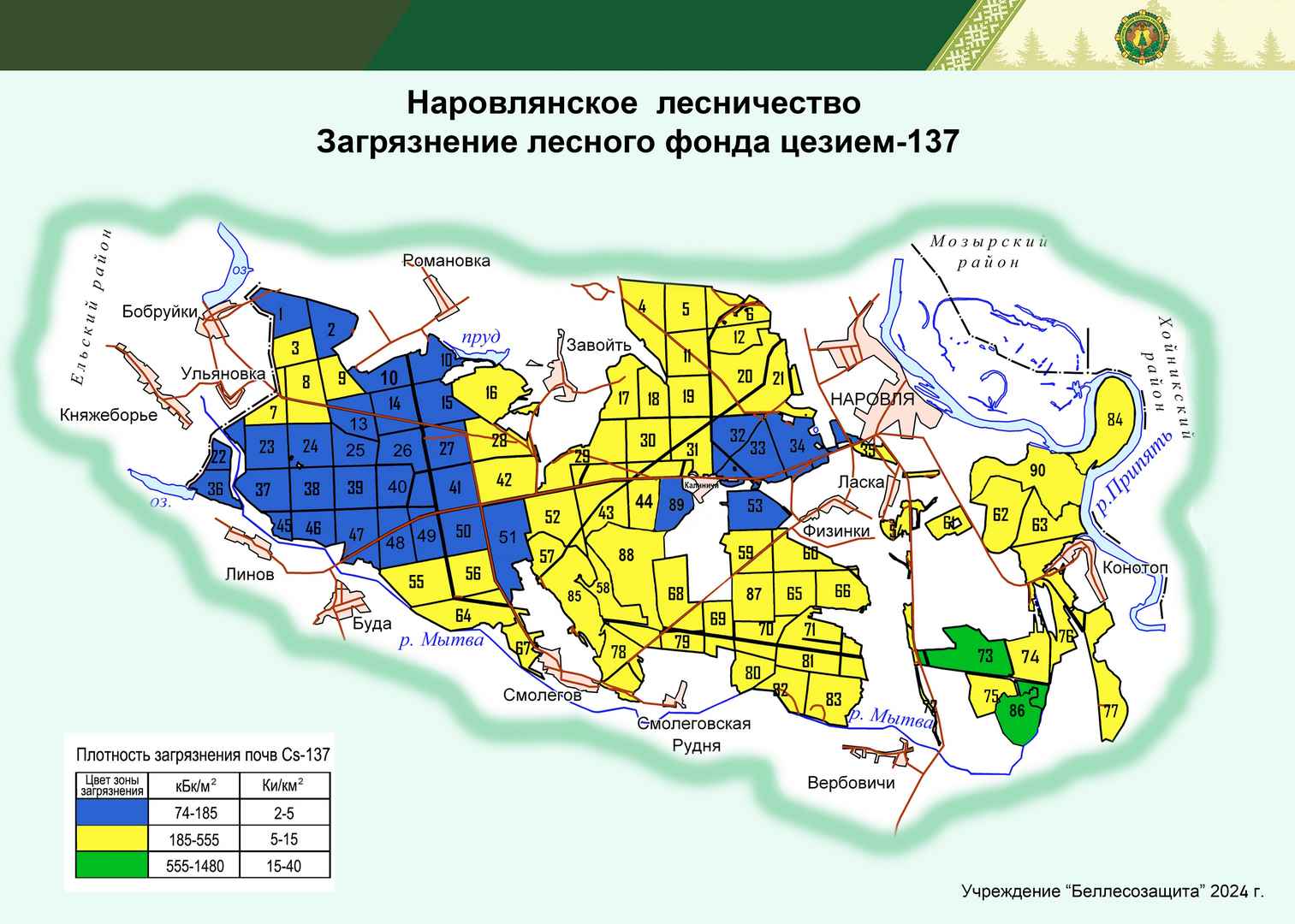 Наровлянское лесничество 2024