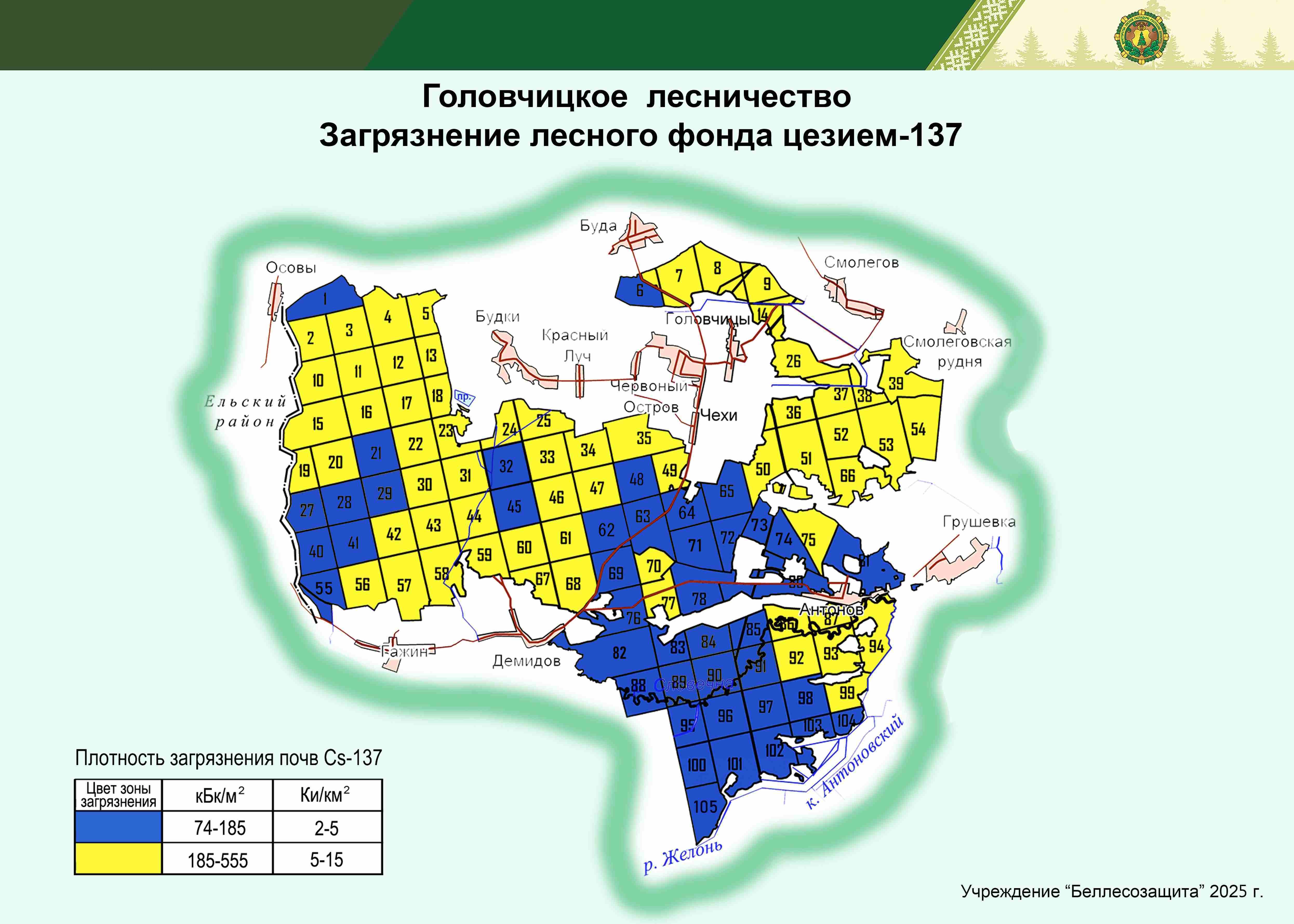 Головчицкое лесничество 2025