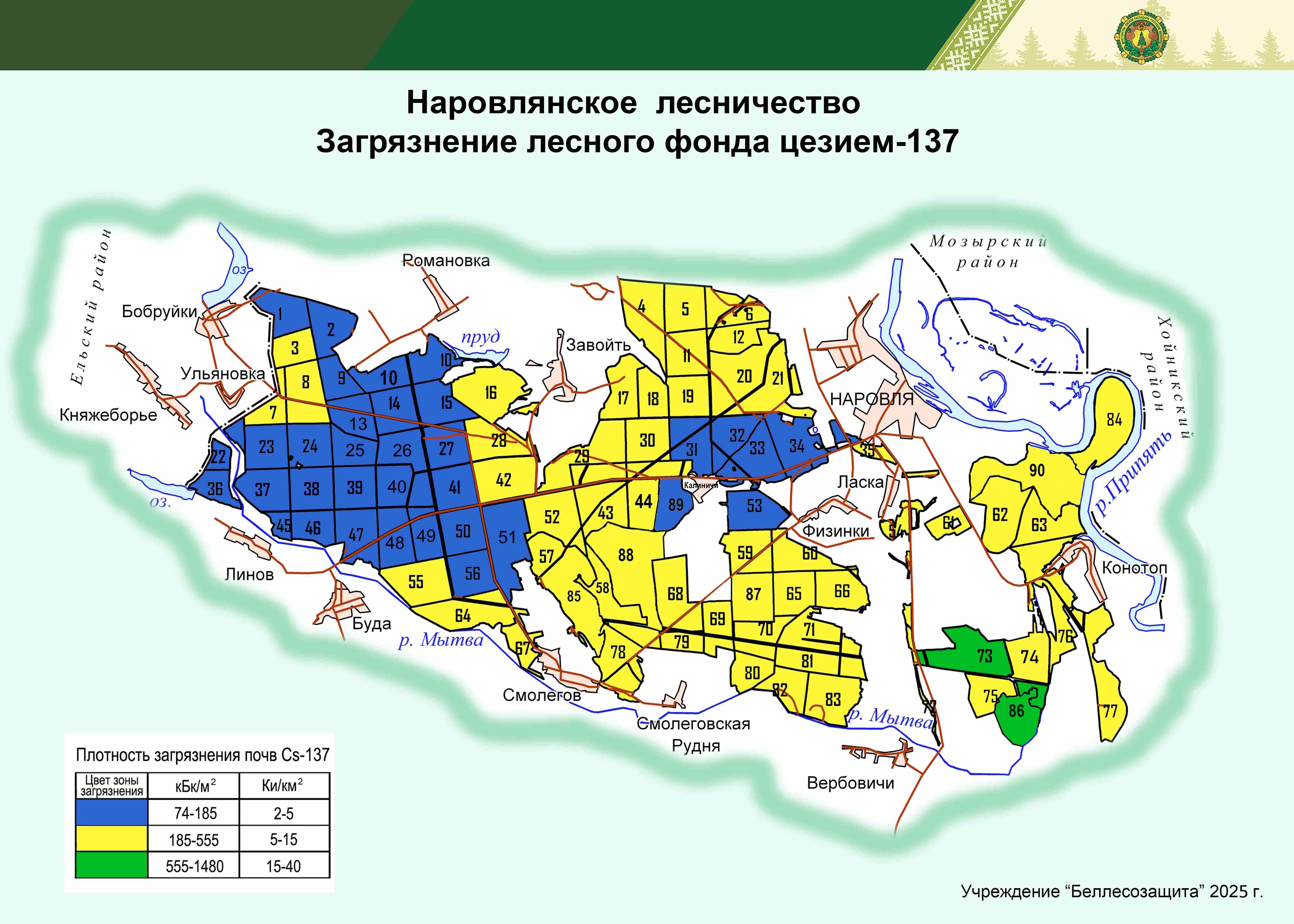 Наровлянское лесничество 2025
